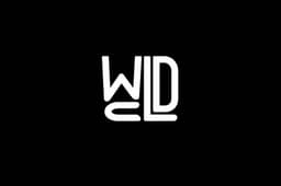 Wandi de Carvalho Lucas